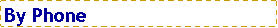 Text Box: By Phone